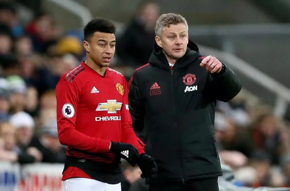 并击败对手 并击败对手